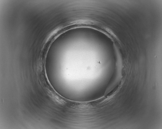 X0000081621067200701151425