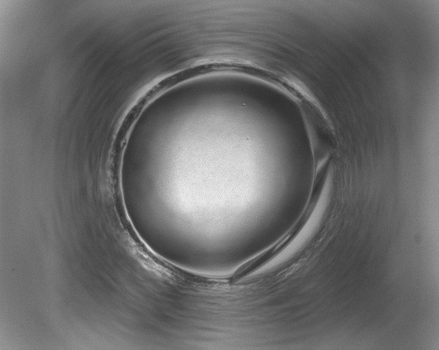X0000081621068200701151425