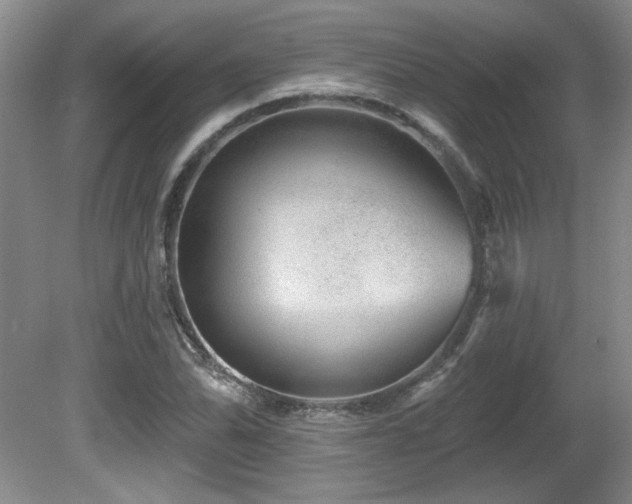 X0000081621070200701151425