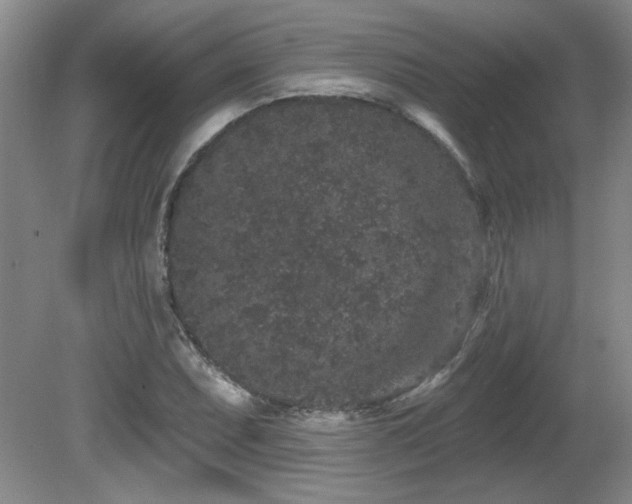 X0000081621071200701151425