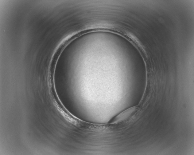 X0000081621072200701151425