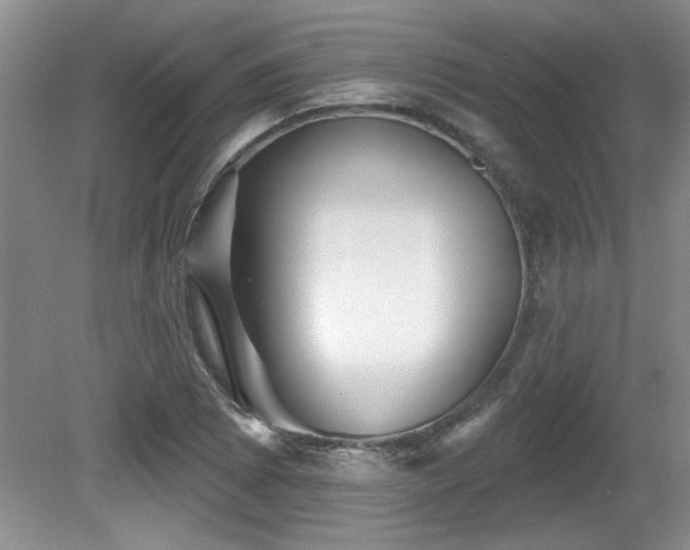 X0000081621073200701151425