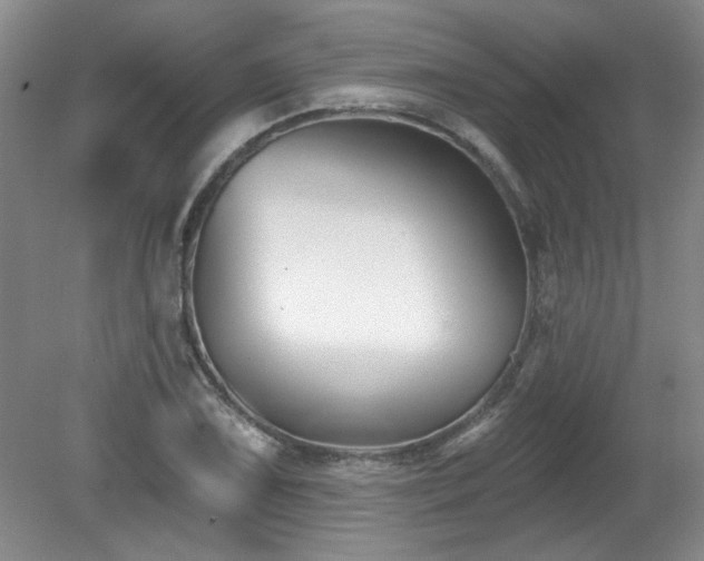 X0000081621075200701151425