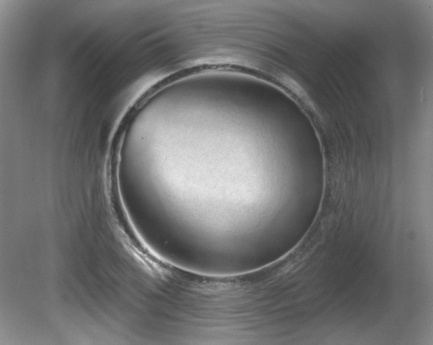 X0000081621076200701151425