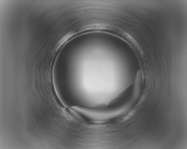 X0000081621081200701151425