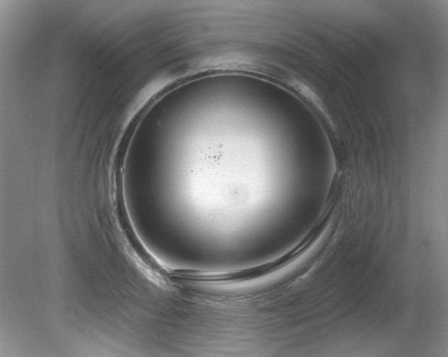 X0000081621082200701151425