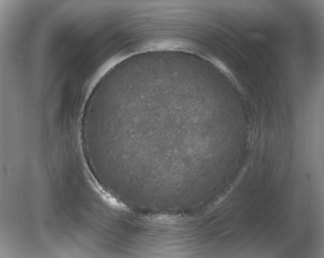 X0000081621086200701151425