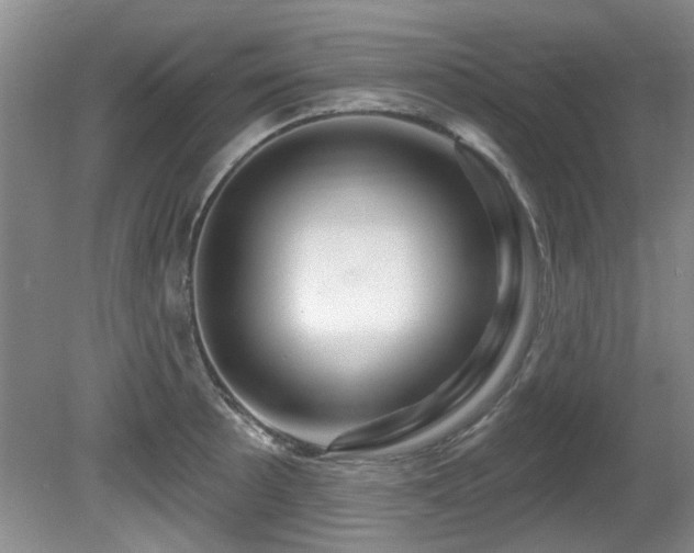 X0000081621089200701151425