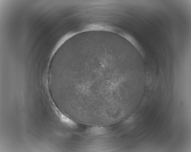 X0000081621094200701151425