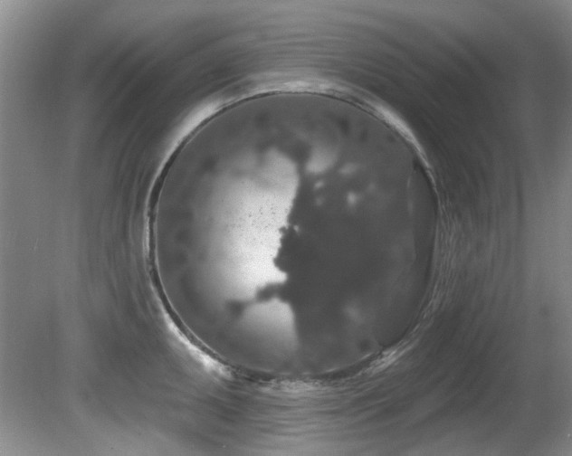 X0000081621095200701151425