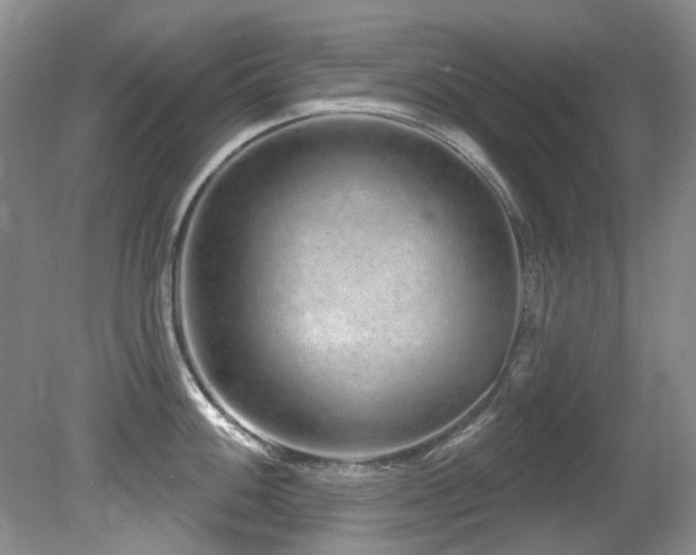 X0000081621100200701151425