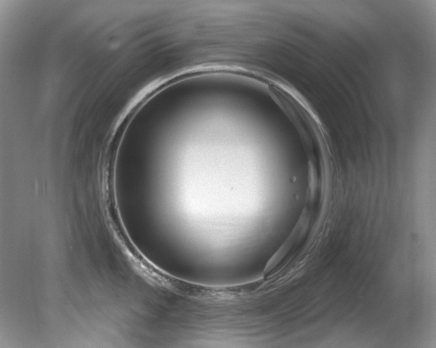X0000081621101200701151425