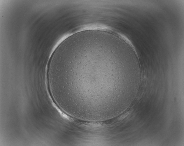 X0000081621103200701151425