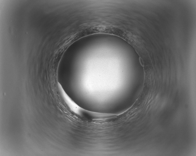 X0000081621105200701151424