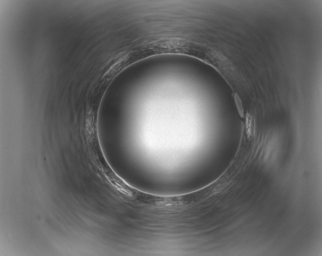 X0000081621107200701151424