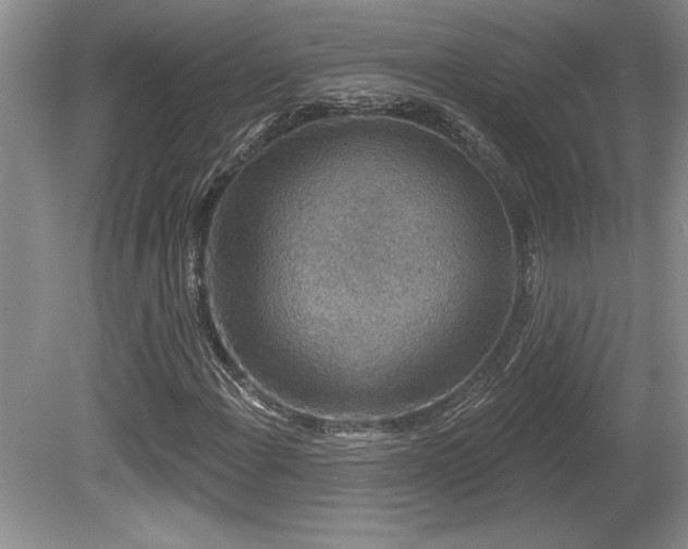 X0000081621108200701151424