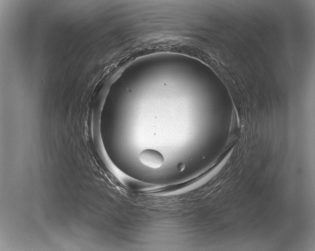 X0000081621109200701151424
