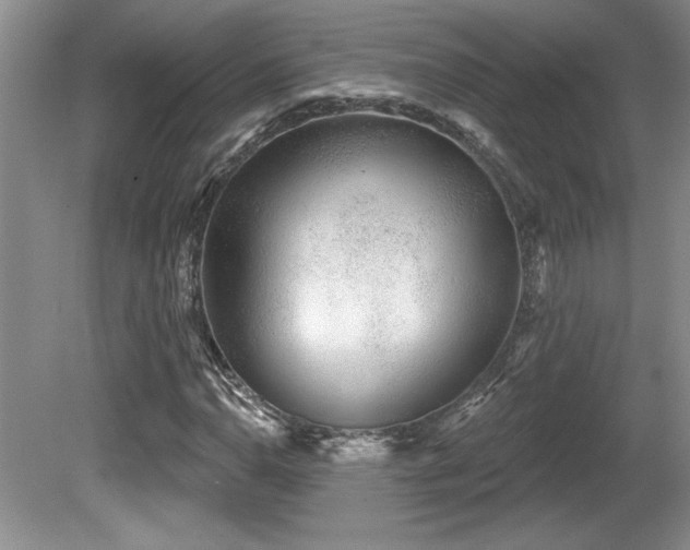 X0000081621110200701151424