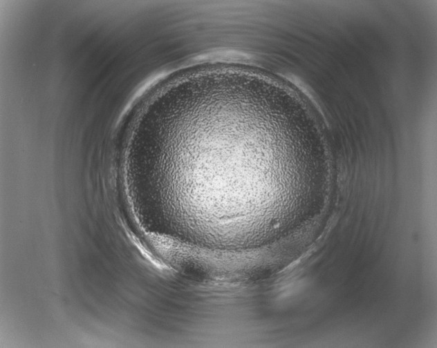 X0000081621115200701151424