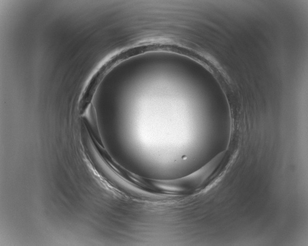 X0000081621118200701151424
