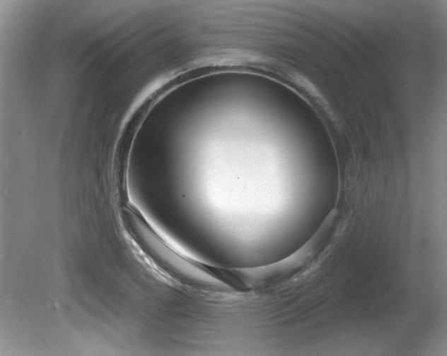 X0000081621122200701151424