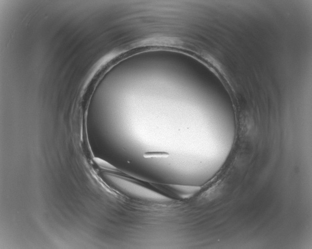 X0000081621123200701151424