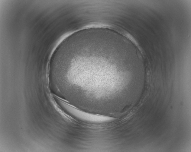 X0000081621124200701151424
