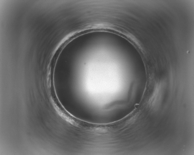 X0000081621126200701151424