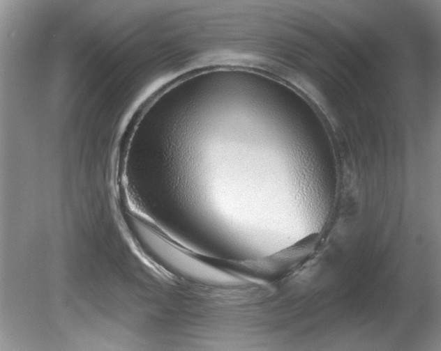 X0000081621128200701151424
