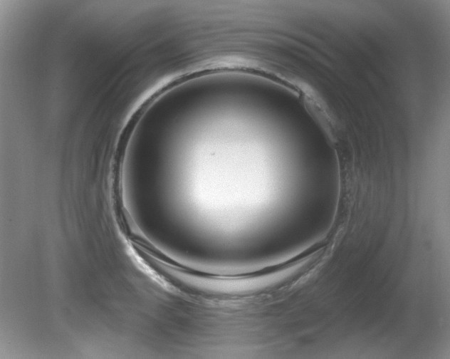 X0000081621134200701151424