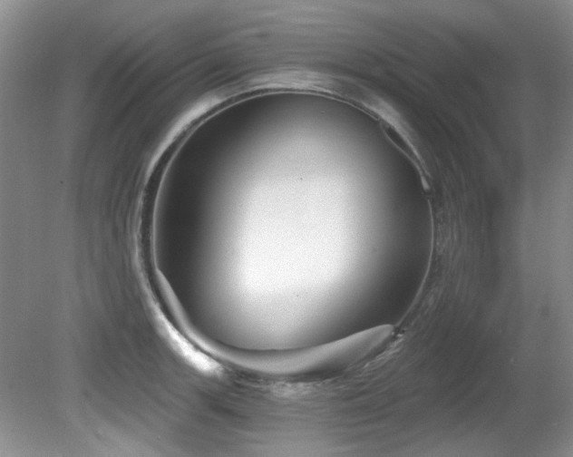 X0000081621139200701151424