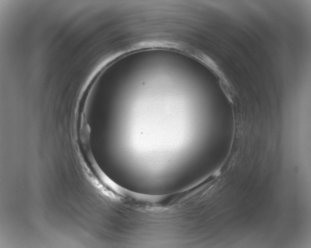 X0000081621140200701151425