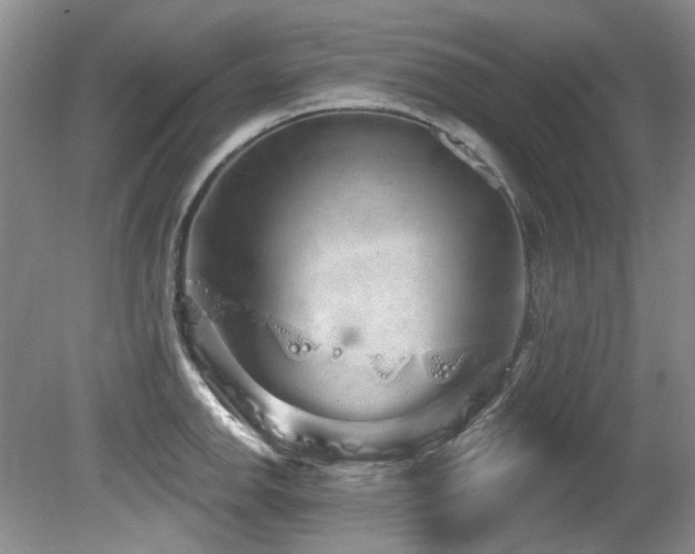 X0000081621142200701151425