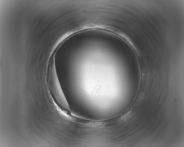 X0000081621143200701151425