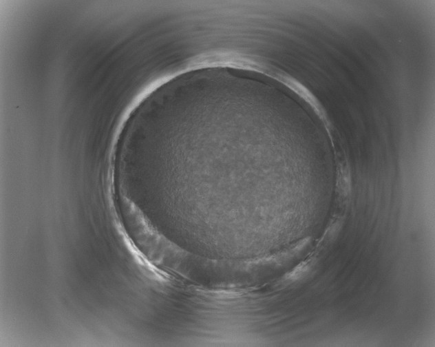 X0000081621144200701151425