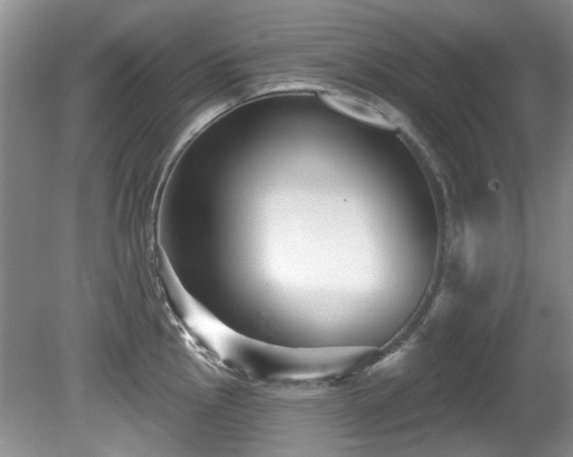 X0000081621145200701151425