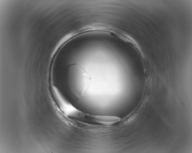 X0000081621146200701151425
