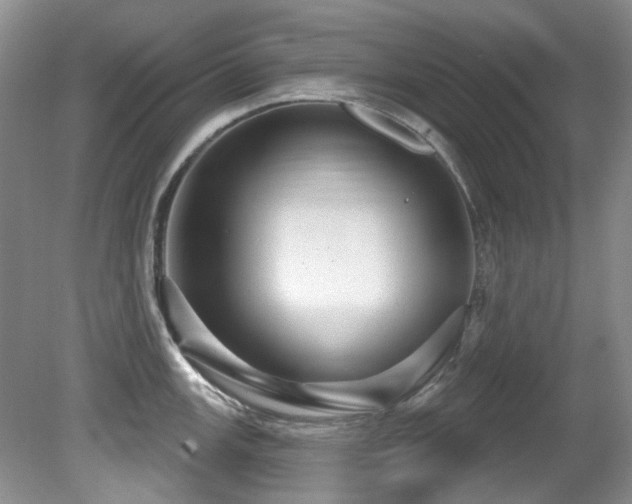 X0000081621147200701151425