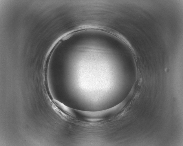 X0000081621148200701151425