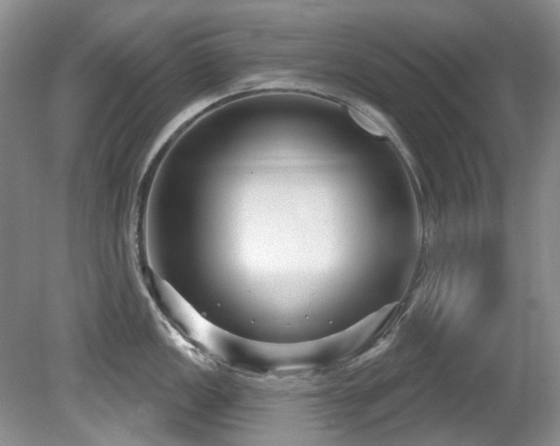 X0000081621149200701151425