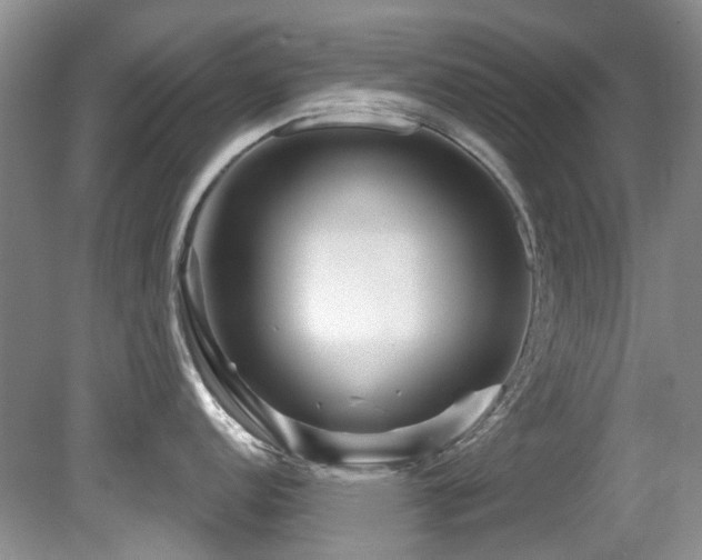 X0000081621152200701151425