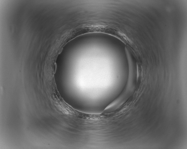 X0000081621153200701151424