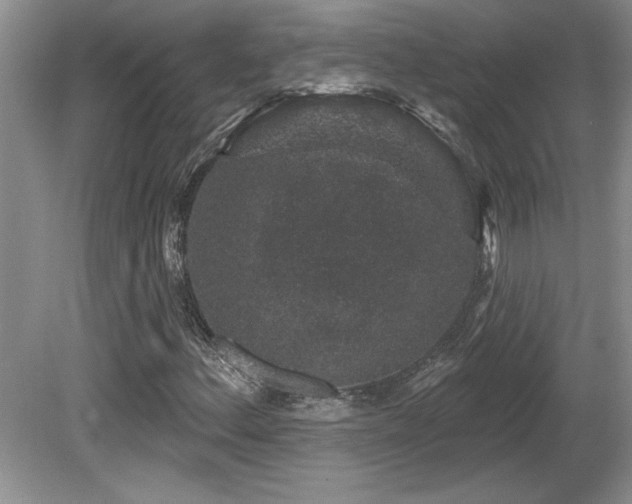 X0000081621156200701151424