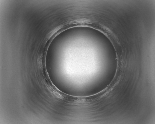 X0000081621162200701151424