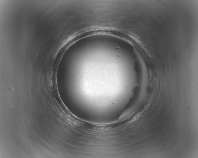 X0000081621165200701151424