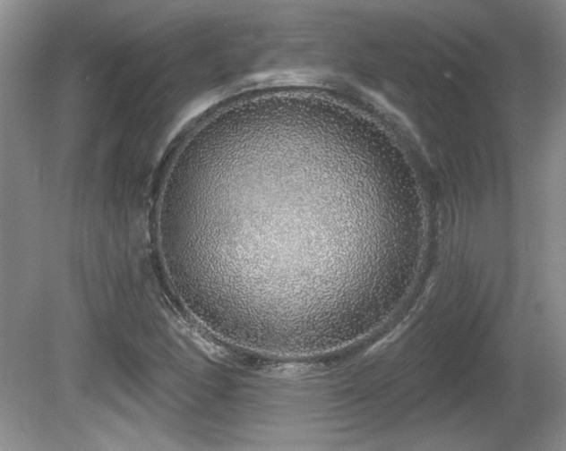 X0000081621166200701151424