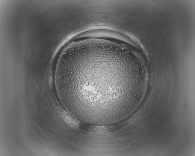 X0000081621167200701151424