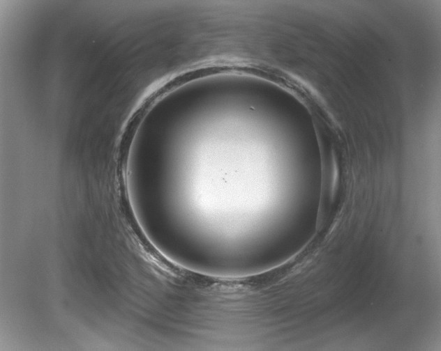 X0000081621168200701151424