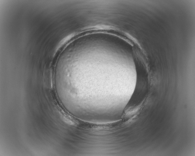 X0000081621171200701151424