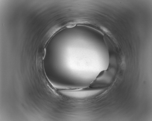 X0000081621177200701151423